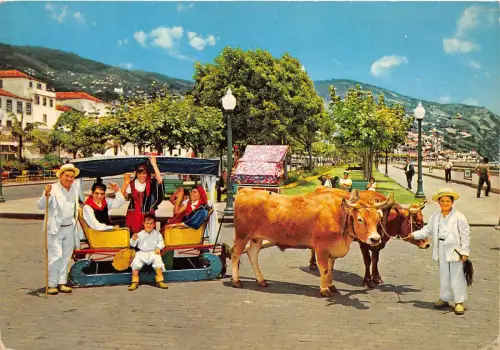 BR8390 Madeira Funchal Char a boeufs portugal