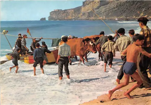 BR9608 Nazare Arrasto dos barcos Kuhvacher portugal