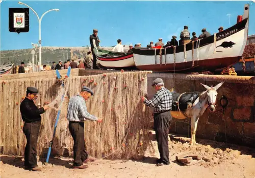 BR15135 Sesimbra Pescadores ane donkey portugal
