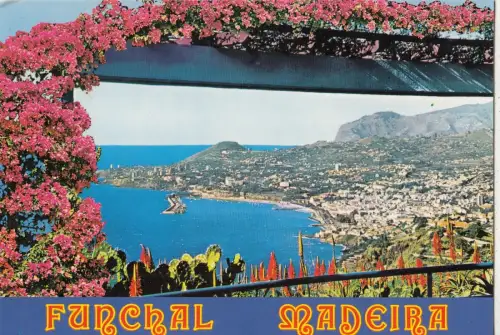 BF25143 funchal madeira vista oeste portugal front/back image