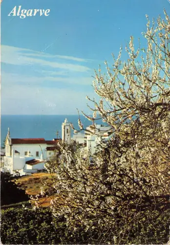 BR23065 Algarve Portugal