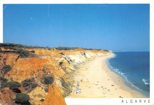 BF1625 PRaia da falesia algarve Portugal