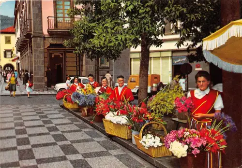 BR31263 Madeira Funchai Floristica Blumen Fleuri Portugal