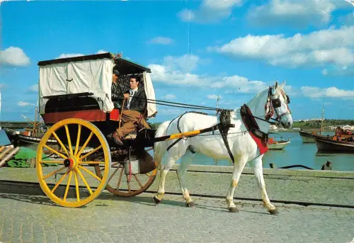 BR76799 Portugal Algarve Wagen Typen