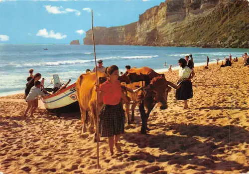 BF1457 Nazare arraslo dos barcos Portugal