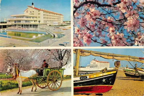 B109960 Portugal Algarve Monte Gordo Hotel Vasco da Gama Pferdekutsche