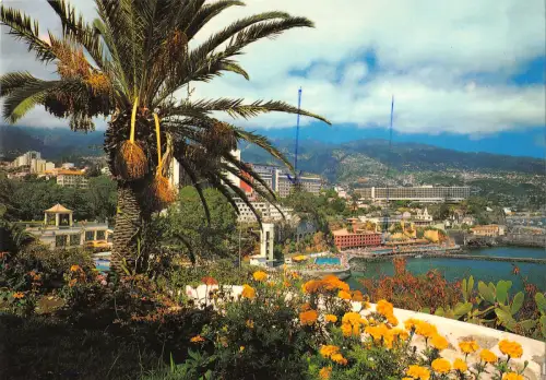 B108327 Portugal Funchal Madeira Eastern View Echtfoto UK