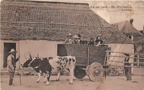 B93087 an ox cart st michael s azores chariot cow vache types portugal