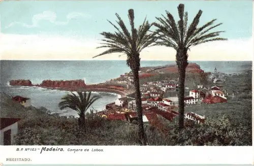 BR70473 madeira camara de lobos portugal