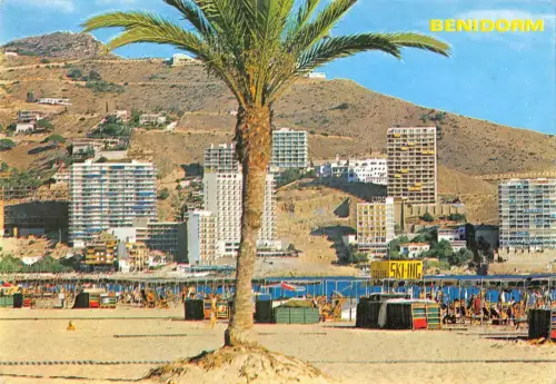 BT3696 Benidorm Spanien