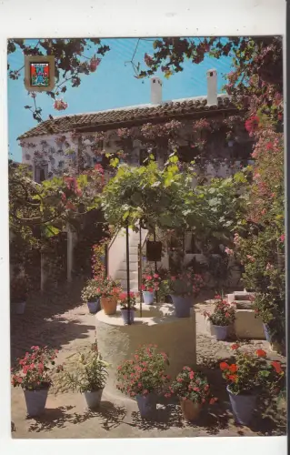 BF29518 sevilla types andaluz spain front/back image