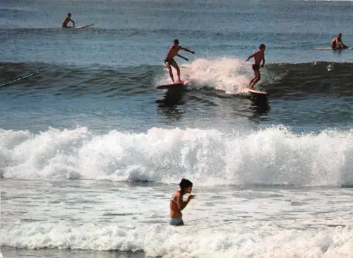 BR8395 Surfing sur la Cote Basque france