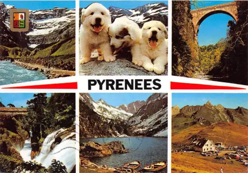 BR8745 Hautes Pyrenäen Hundekette Multi Views Frankreich