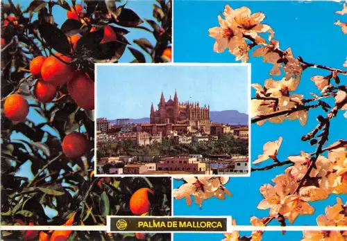BR1878 Spanien Palma de Mallorca Multi Vues