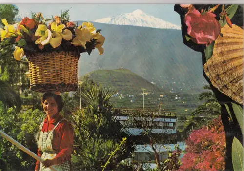BF22449 puerto de la cruz tenerife spain front/back image
