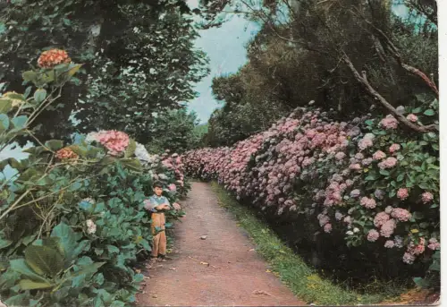 BF30520 Funchal Madeira Kindertypen Spanien Vorder-/Rückbild