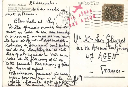 BF30520 Funchal Madeira Kindertypen Spanien Vorder-/Rückbild