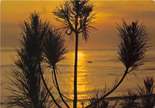 BR23343 Coucher de soleil france