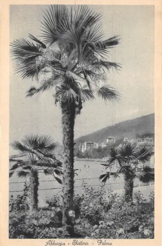 B39533 Abbazia Slatina Palme croatia