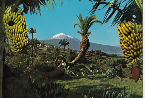 BF22761 Teneriffa Panorama del Teide Spanien Vorder-/Rückbild