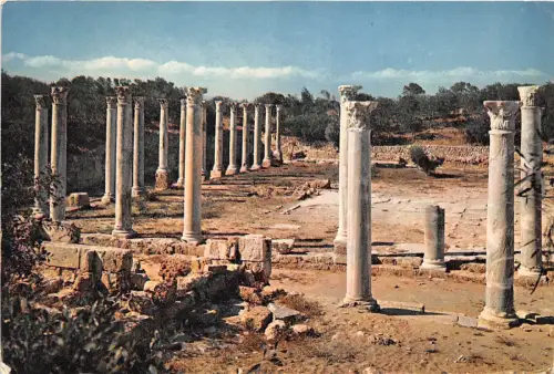 BR21328 Ruinen von Salamis Zypern