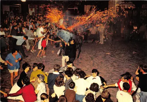 BR8666 Toro de Fuego rejoussance Populaire cote basque france