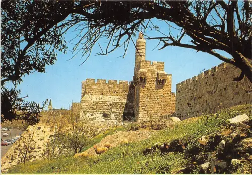 BR2903 Jerusalim The Citadel la tour de David pres de la porte de Jaffa israel