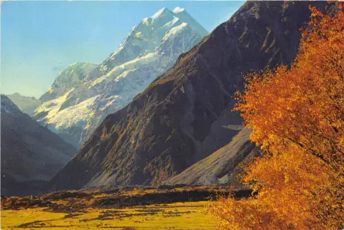 BT17781 Mt cook ist der höchste Peok Neuseelands