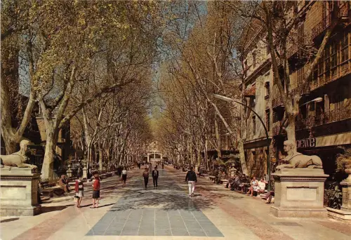 BG27600 mallorca palma passeo del generalisimo spain