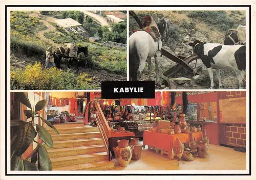 B48396 Algerien Kabylie typische Szenen Mehrfachansichten