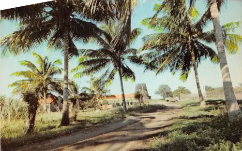 us7989 west indies caribbean islands st kitts nevis