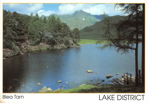 BT18338 blea tarn lake district uk