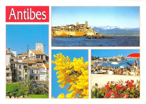 B50185 Antibes Multi Vues