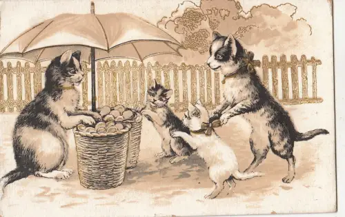 B81331 menschliche Haltung Kaufmann rollt Katze Chat Vorder-/Rückseite Bild