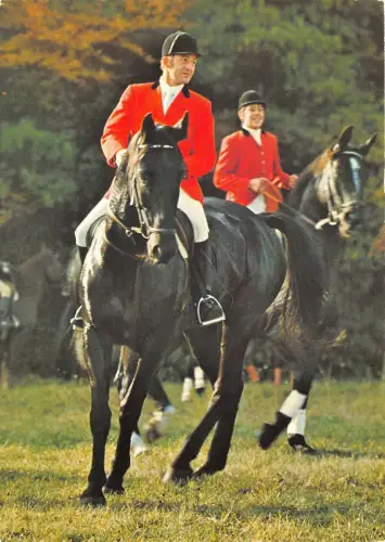 Lot234 Deutschland Reitsport Fuchsjagd