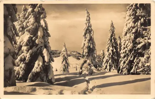 Lot205 deutschland grüße weinachten neu jahrweihnachten neujahr echtfoto