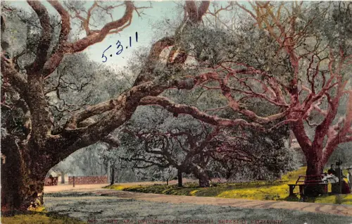 br105642 berkeley the oaks california