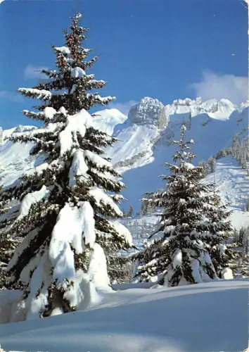 B52806 neige et soleil Winterlandschaft Frankreich