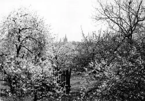 BG1293 werder an der havel CPSM 14x9,5cm germany