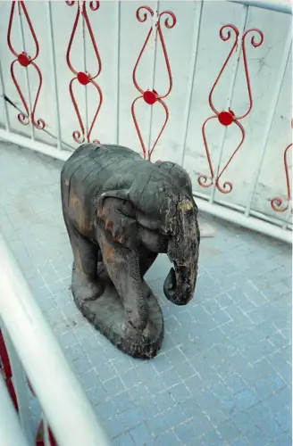 B70697 éléphant Elefant Thailand Echtfoto Foto réelle Thailand