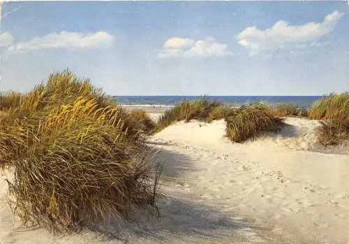 B52867 seaside la mer et la plage belgien