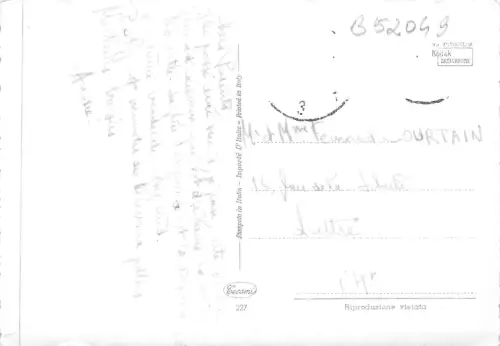 B52049 Fleurs Blumen Rosen