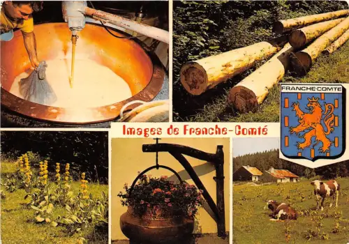 B50986 Franche Comte vaches Kühe multi vues france