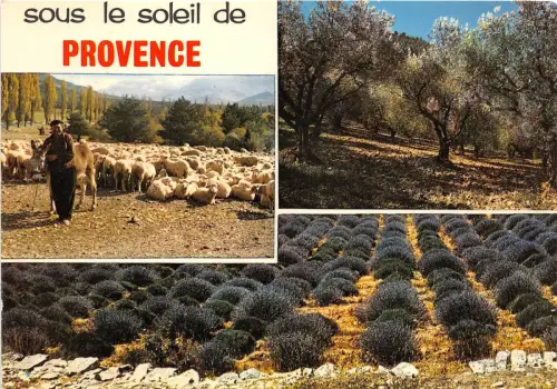 B50777 Provence Schiff Moutons Frankreich