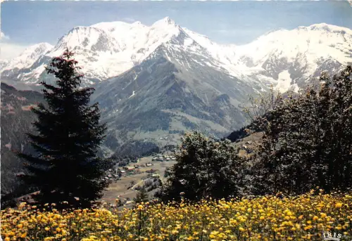 BG28177 panorama sur le massif du mont blanc france