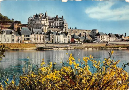 B66567 Chateaux de la Loire Amboise Frankreich