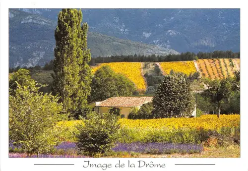 B50345 Image de la Drome france