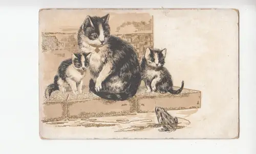 B78694 au bon marche Frosch Katzen Chat Scan Vorder-/Rückseitenbild