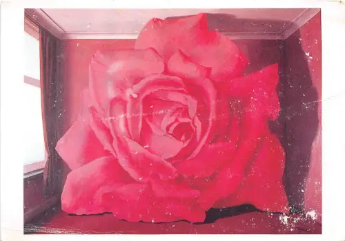 B52085 Fleurs Blumen Rosen