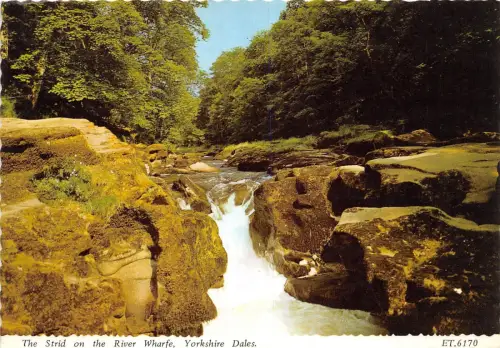 BT18421 the strid on the river wharfe uk